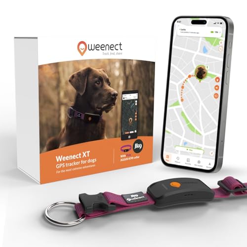Weenect Chien XT - Nouveau Collier GPS pour Chien | Antenne XL | Etanche | Collier Hyper résistant intégré Julius-K9 | Garantie à Vie | Abonnement requis (Rose)