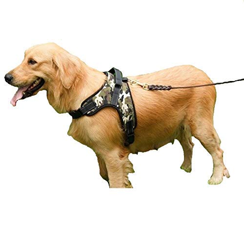 Harnais en nylon et coton Birds' Park XL pour grand chien (Lot de 2) confort au quotidien