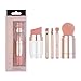 Liasun 5 In 1 Exquisite Multi-function Makeup Brushes Funny Combination Design - Blush Brush, Eyeshadow Brush, Angled Brow Brush,Blending Brush For Women and Girls (5 In 1)