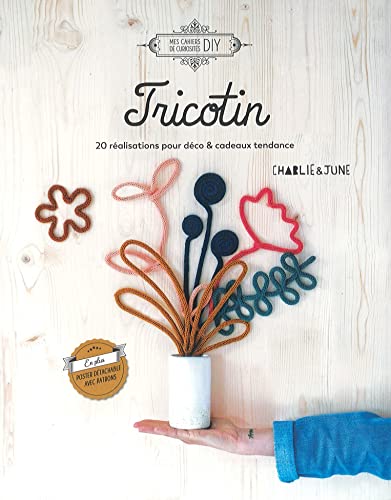 Tricotin - 20 réalisations pour déco & cadeaux tendance
