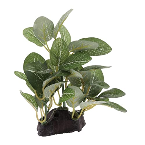 Generic de Terrário para Dragões, Lagartixas, Habitat de Répteis de,