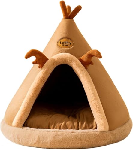 LumoLightLxbh eg ~ ybgxbh eBs[ 􂦂 ybgpQ LbgnEX p ^ LnEX xbh nEX ybgnEX ~  Q  NbVt ybgpi (uE,XL)