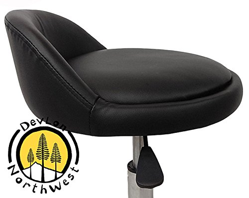 DevLon NorthWest Salon Stool with Back Rest Saddle Hydraulic Spa Stool (BLACK)