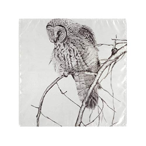 Double Joy 1 Pack Pen Animal Bird Drawing Illustration Painting Art Oversized 20x20 Inch Kitchen Dinner Square for Home Decorations Cloth Napkins Washable