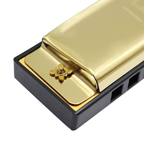 Harmonica en Métal Durable,Facile À Transporter Conception Humanisée 10 Trous Harmonica Harmonica Instruments de Musique… - Les Beatles, Paul McCartney, John Lennon, RIngo Starr, George Harrison Harmonica en Métal Durable,Facile À Transporter Conception Humanisée 10 Trous Harmonica Harmonica Instruments de Musique… – Image 7