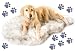 PupRug Faux Fur Memory Foam Orthopedic Dog Bed (Large/Extra Large - 50" L x 30" W, White Curve)