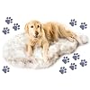 PAW Brands PupRug Orthopedic Dog Bed for Large Dogs with Fluffy Soft Faux Fur and Memory Foam for Joint Pain Relief, Machine Washable and Waterproof Couch Bed, White with Brown Accents, Medium
