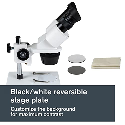 Image of Celestron - Stereo Microscope - Celestron Labs S1030N - Ergonomic Binocular Head - 10x and 30x Magnification