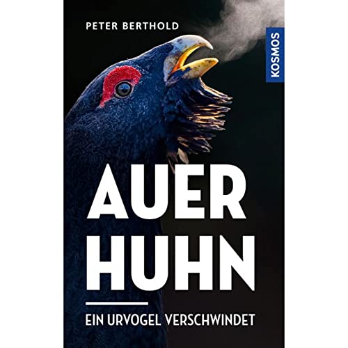 Auerhuhn: Ein Urvogel verschwindet
