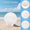 25PCS Large Scallop Shells for Crafts, 10PCS 4-5in & 15PCS 2-3in Natural Sea Shells for Painting, White Seashells Bulk for DIY Crafting, Decorating, Baking, Ocean Themed Party Supplies(2 Sizes Range) #2