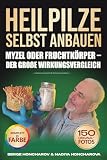 Heilpilze selbst anbauen: Myzel oder Fruchtkörper – der große Wirkungsvergleich Das umfassende Handbuch zur Zucht von Vitalpilzen zu Hause für Anfänger und Fortgeschrittene