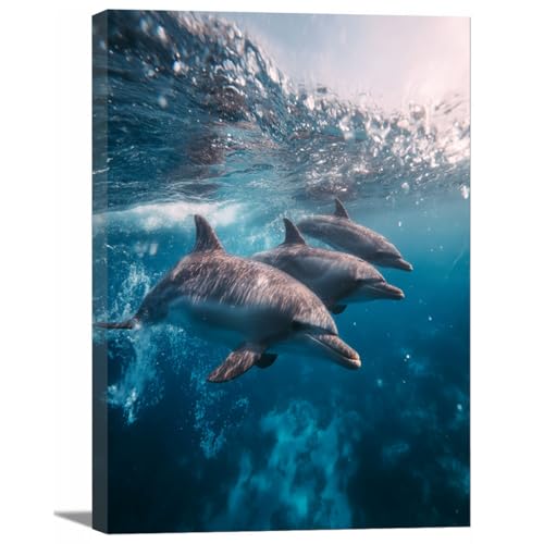 Poster animaux aquatiques pour égayer un mur vide bleu