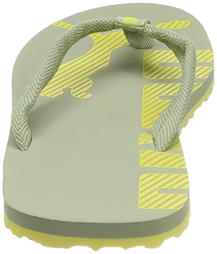 Image of PUMA Epic Flip V2 Synthetic Slipon Womens Athleisure Flip Flops