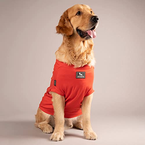 Image of HUFT Treats and Chill T-Shirt for Dog - Deep Coral - XL