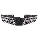 OE Replacement Nissan Datsun/Rogue Grille Assembly (Partslink Number NI1200249)