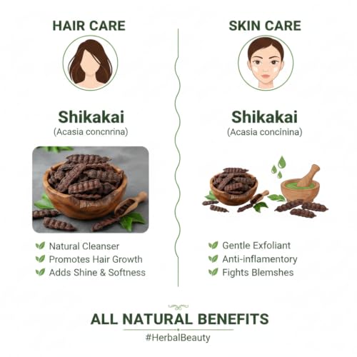 Image of Organic Whole Dried Sabut Shikakai Raw Form 100g | Acacia Concinna for Hair Wash, Hair Growth, Hair Fall Control, Dandruff & Itchy Scalp | Natural Herbal Hair Cleanser, Hair Mask Use, Chemical Free
