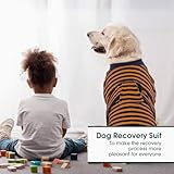 Kuoser gestreifter Regenerationsanzug für Hunde, Katzen nach Operationen, Schutz bei Bauchwunden/Hautkrankheiten, Alternative zum elektronischen Halsband für Haustiere