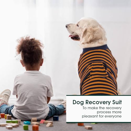 Kuoser Hundebody Nach Op, Hundebody Nach Kastration Rüde Hündin,Hundebody Nach Op Hündin, Atmungsaktiv Body Für Hunde Nach Op,Leckschutz Hund, Anti-Wundlecken Op Body Hund,Braun XXL