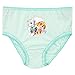 Paw Patrol Girls' Skye and Everest Underwear Size 5 Multicolored