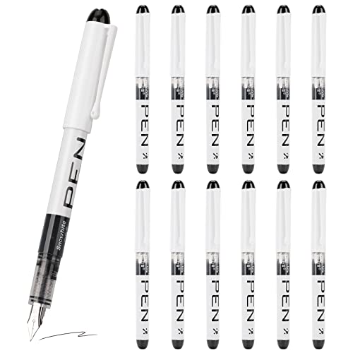 Top 10 Best Disposable Fountain Pens 2 Reviews & Buying Guide Katynel