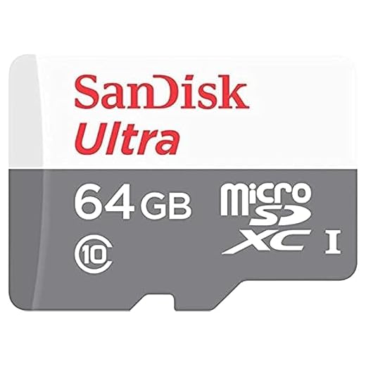 SanDisk SanDisk Ultra Lite microSDXC 64GB 100MB/s SDSQUNR-064G-GN3MN