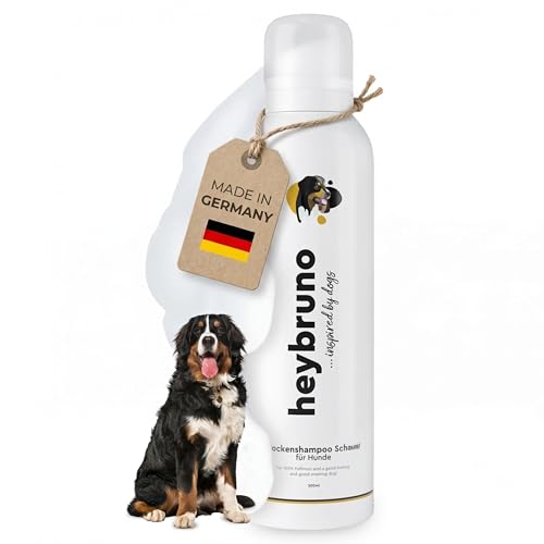 heybruno Hunde Trockenshampoo Schaum gegen Geruch – Fellpflege ohne Ausspülen für alle Felllängen & Langhaar – Dermatologisch getestet – duftstofffreies Hundeshampoo für Angsthunde & Welpen