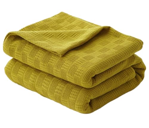 xbhuPbg _炩Sn̗ǂyʃRbgK[[jbg JE`\t@p  200x230cm