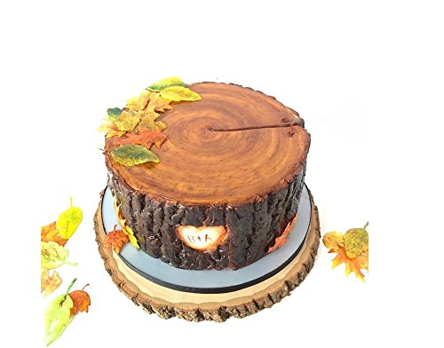 Fondant Impression Mat, Tree Bark Texture Design- Christmas Molds Silicone-Cake Decorating Supplies For Cupcake Wedding Cake Decoration #TOP5