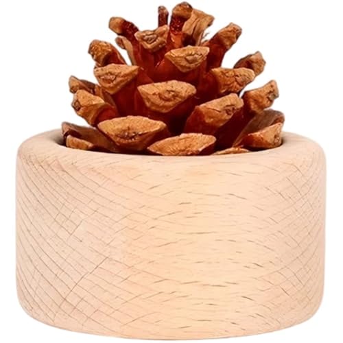 Difusor de aromas en madera para auto y hogar