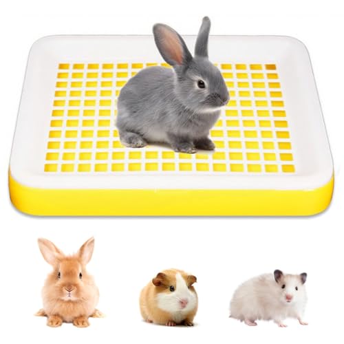  gC ybggC gC bggC bVt ybgpi ȒP  tFbg `` ETM gCg[jOɓKĂ܂ (CG[)