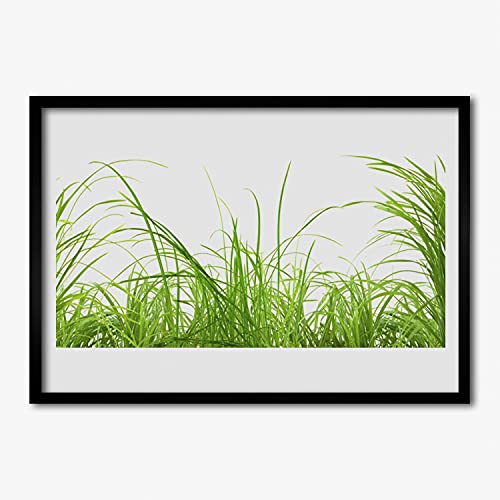 Photo affiche avec cadre salon 70x50cm faune de plante d'herbe Tulup
