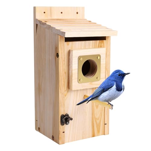 Best Woodstock Bird Houses: Enhance Your Garden with Style! - Totally