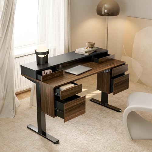 HUANUO Electric Standing Desk with Storage