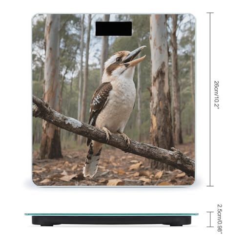 Báscula de baño digital con pantalla LCD 400 lb miniatura 2