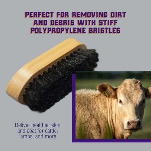Weaver Livestock Barn Brush, Wooden Grooming Brush for Goat, Sheep, Pigs, Cattle, Stiff Bristles for Dirt Removal, Show Animal Grooming Tools - Image 4