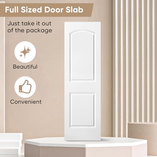 Image of BARNSMITH 24x80 in Raised 2-Panel Arch Top White Primed Interior Door Panel