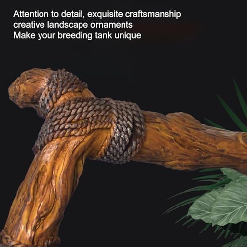 Branches de terrarium pour reptiles - Évitez les chutes avec ce bois stable - 8