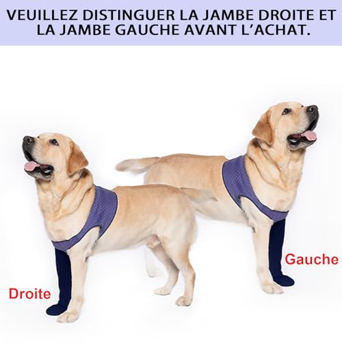 Bottes de Soin pour Chien COODEO Protecteurs de Pattes de Qualité - 3