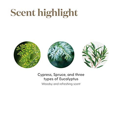 Young Living R.c. Essential Oil Blend 15Ml - A Powerful Combination Of Cypress, Spruce, Eucalyptus, Myrtle, Pine, And More For A Refreshing And Uplifting Aroma #TOP4