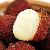 高級 生ライチ 約1kg (30~40玉前後) 台湾直輸入 高級 生ライチ 約1kg (30~40玉前後) 台湾直輸入