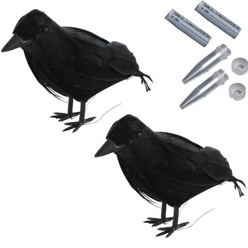 geo-versand 2 x Rabe mit Nano Vogel wasserdicht +Logstr. Geocaching Versteck Wald Tier Micro