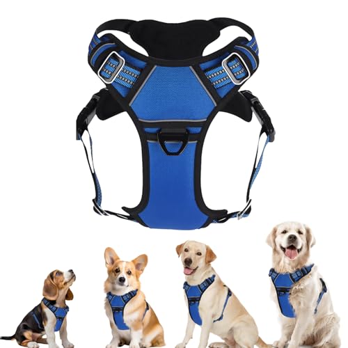 BXPAW Dog Harness,No Pull Dog Vest Harness Adjustable Reflective Pet Harness Easy Control Handle for Small to Large Dogs Soft Padded Puppy(Blue, Extra Large)