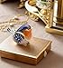 Robin Bird Jewelry Trinket Boxes Hinged Ring Box.Collectible Bird Figurines Home Decor Gifts for Women.Necklace Rings Earrings Organizer.