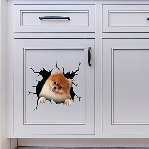 Pomeranian Stickers Decals Pomeranian Dog Gifts Funny Warning Car Sticker for New Driver 3D Trucking Aufkleber