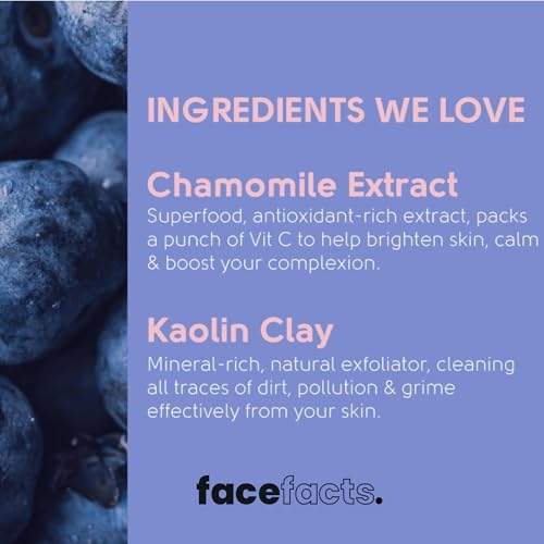 Face Facts Antioxidant Blueberry Kaolin Clay Face Mask; Infused with antioxidant-rich superfood blueberry fruit extract; Brightens and nourishes complexion; Vegan; Pack of one; - Image 4