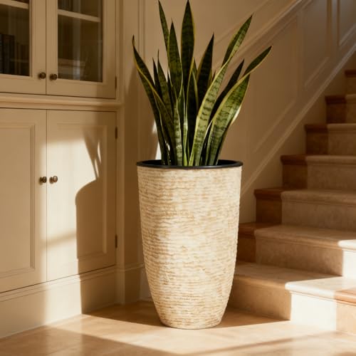 Worth Garden 21" H Beige Tall Planters set of 2 with Inside Pots - 14'' Dia Plastic Large Round Plant Tree Pots with Drain Hole - Decorative Imitation Stone Finish for Indoor Outdoor Front Porch Patio by Worth - Used condition - Image 8