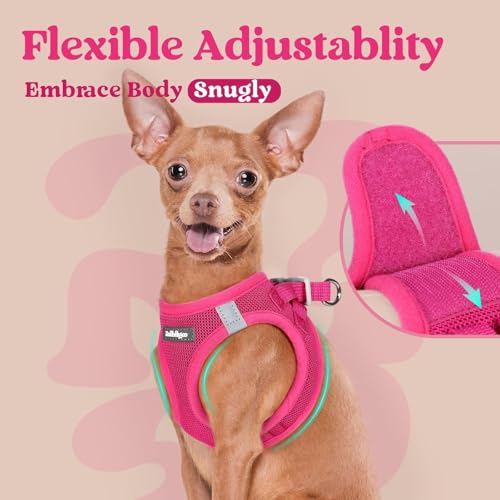 rabbitgoo Small Dog Harness, Step-in Soft Mesh Puppy Vest with Safety Buckle, Breathable Reflective Pet Harness for Extra Small Dogs, Rose Red XXS by rabbitgoo - Image 5