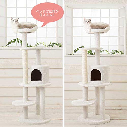 Amazon | Mauタワー ポム | Mau | キャットタワー 通販