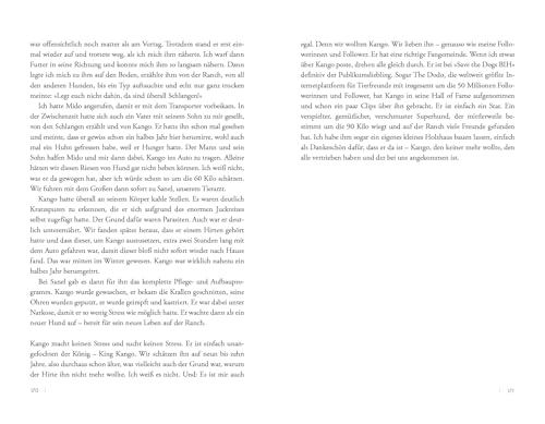 Der Hundebeschützer: Wie Straßenhunde eine zweite Chance bekommen | thegodfatherofdogs gibt Tipps für Hunde-Adoption, SPIEGEL-Bestseller, Gewinner LovelyBooks Community Award 2025