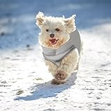 FEimaX Hundepullover Hundejacke Winter Warme Hundemantel für Kleine Mittlere Hunde Fleece Hundeweste Welpen Weiche Wintermantel mit Leinenring